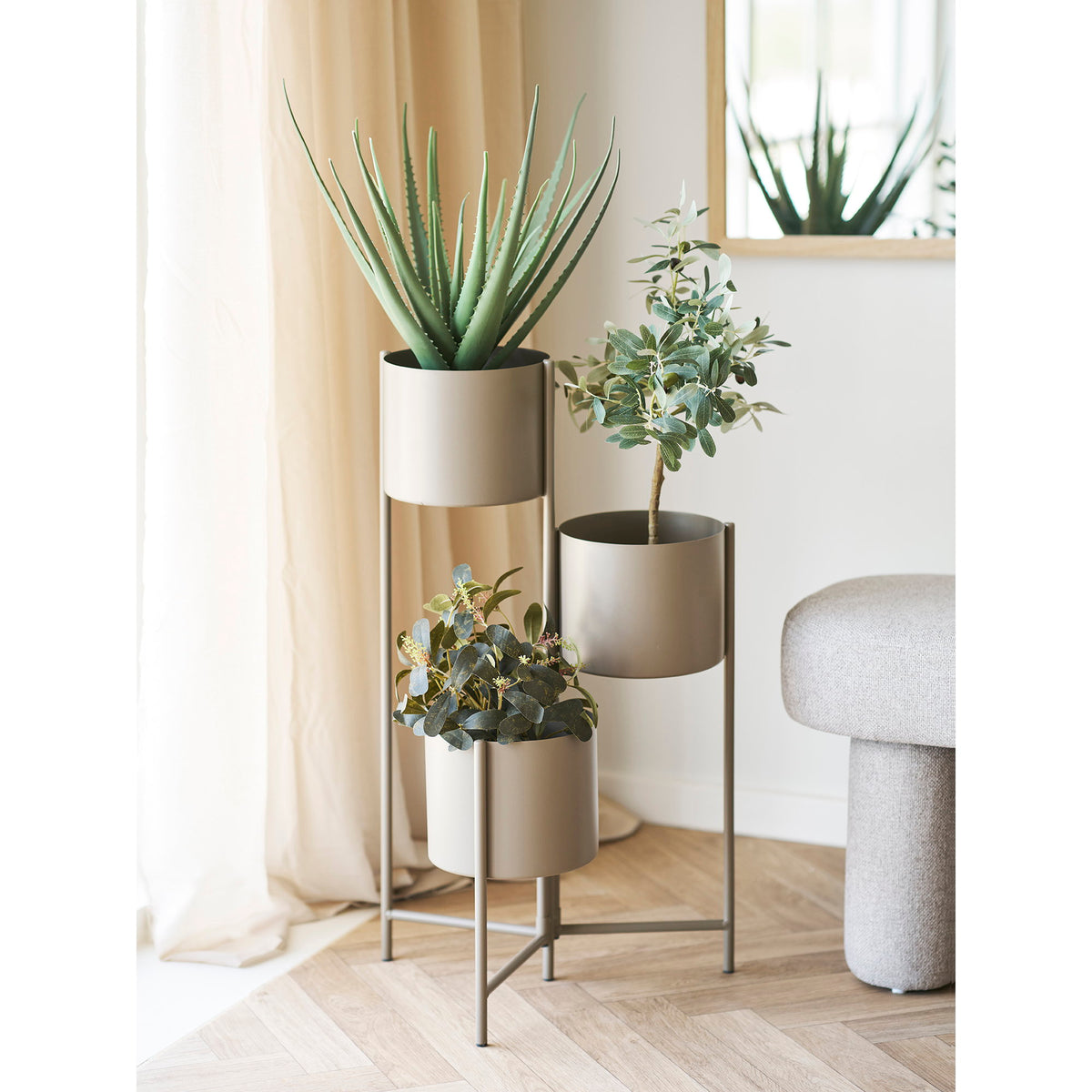 Eucalyptus artificiel dans le pot bas d'un porte-plantes en métal taupe à côté d'un aloès et d'un olivier