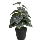 Plante artificielle feuilles nervurées vert foncé blanc argenté 33 cm en pot noir fond blanc