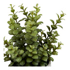 Plante artificielle grasse en pot ciment 33 cm vue de face