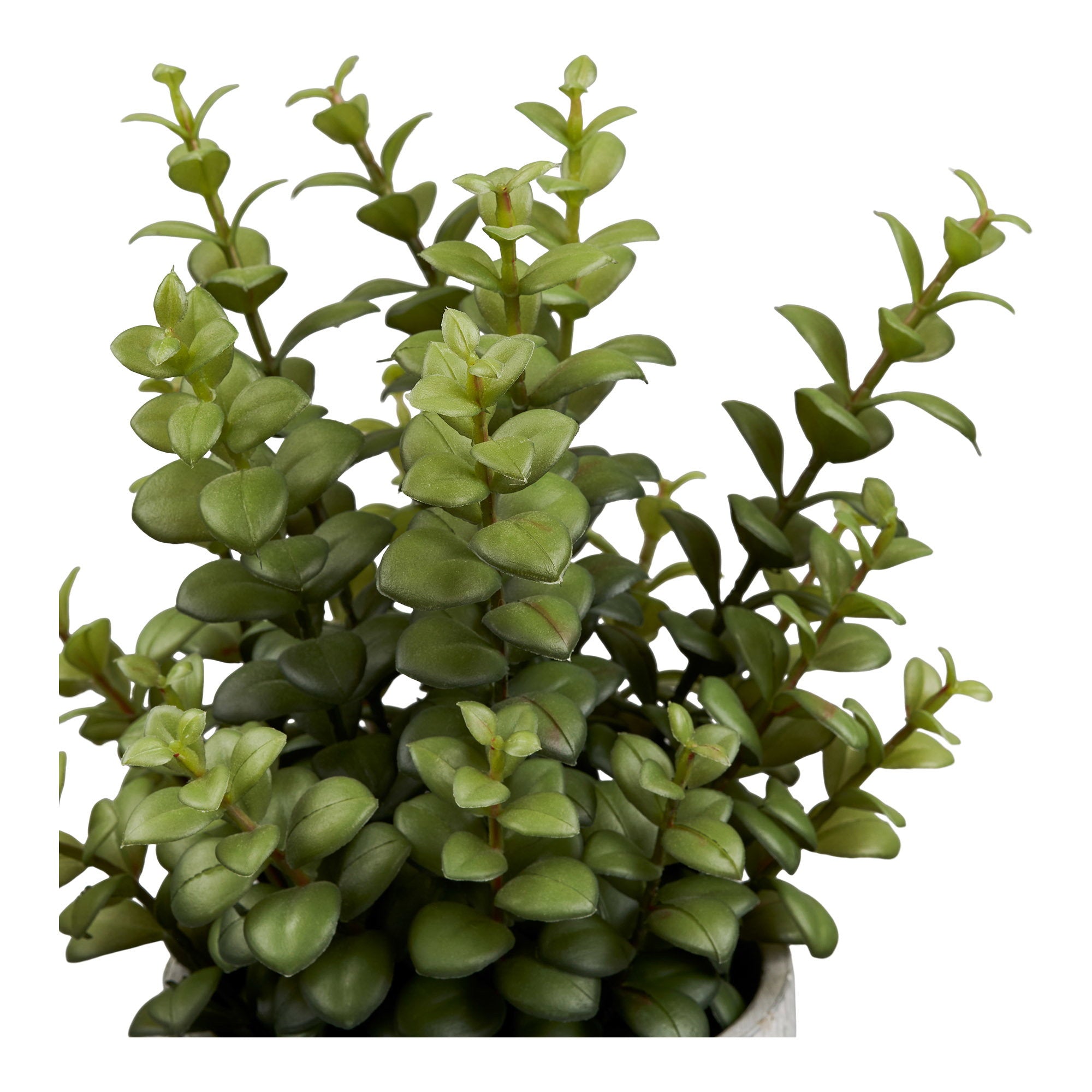 Plante artificielle grasse en pot ciment 33 cm vue de face