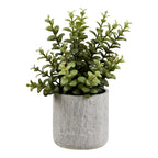 Plante artificielle grasse en pot ciment 33 cm