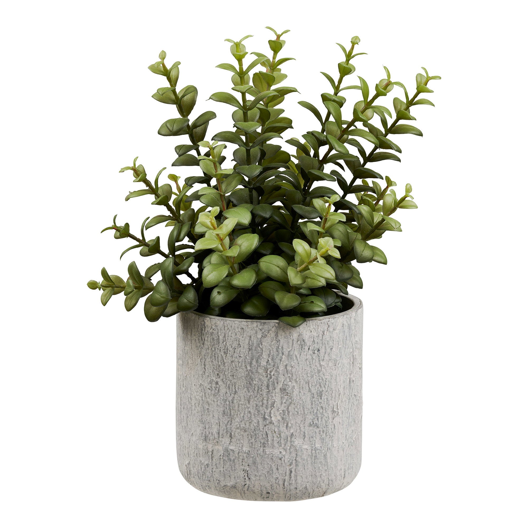Plante artificielle grasse en pot ciment 33 cm