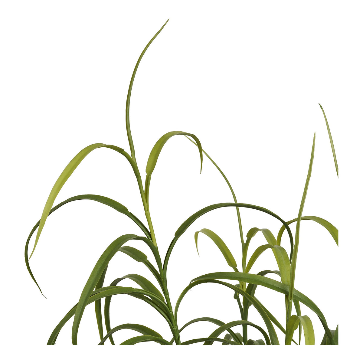 Détail du feuillage de l'herbe ornementale artificielle aux feuilles fines qui retombent en arcs