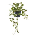 Plante artificielle Hoya retombante verte 33 cm pot noir fond blanc