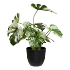 Plante artificielle Monstera en pot noir 41 cm