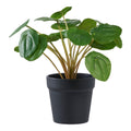 Plante artificielle Pilea peperomioides verte de 28 cm dans son pot de culture noir
