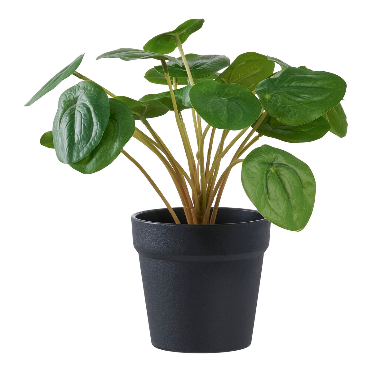 Plante artificielle Pilea peperomioides verte de 28 cm dans son pot de culture noir