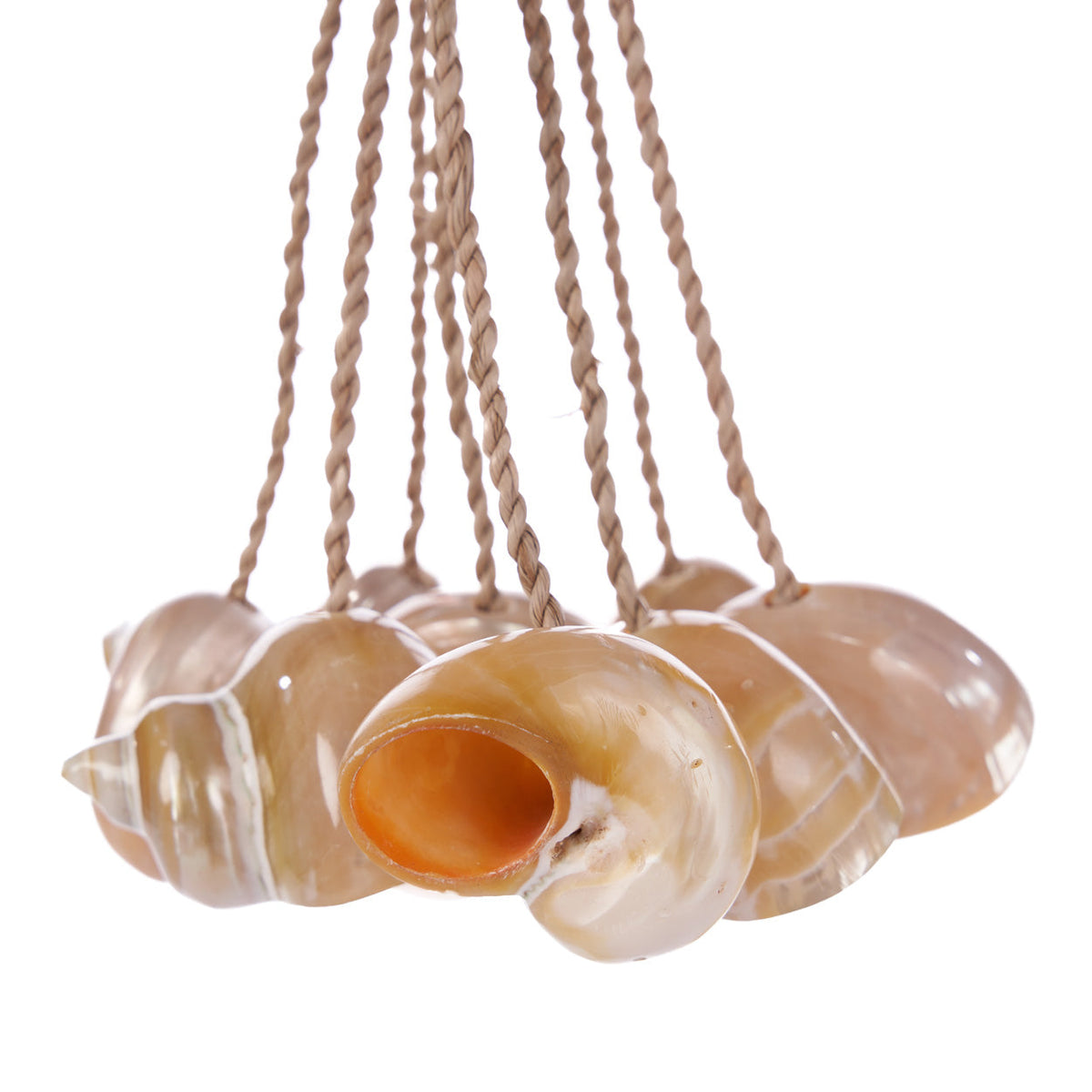 Gros plan sur les coquilles nacrées du pompon Conch et leurs brins de fibre torsadée