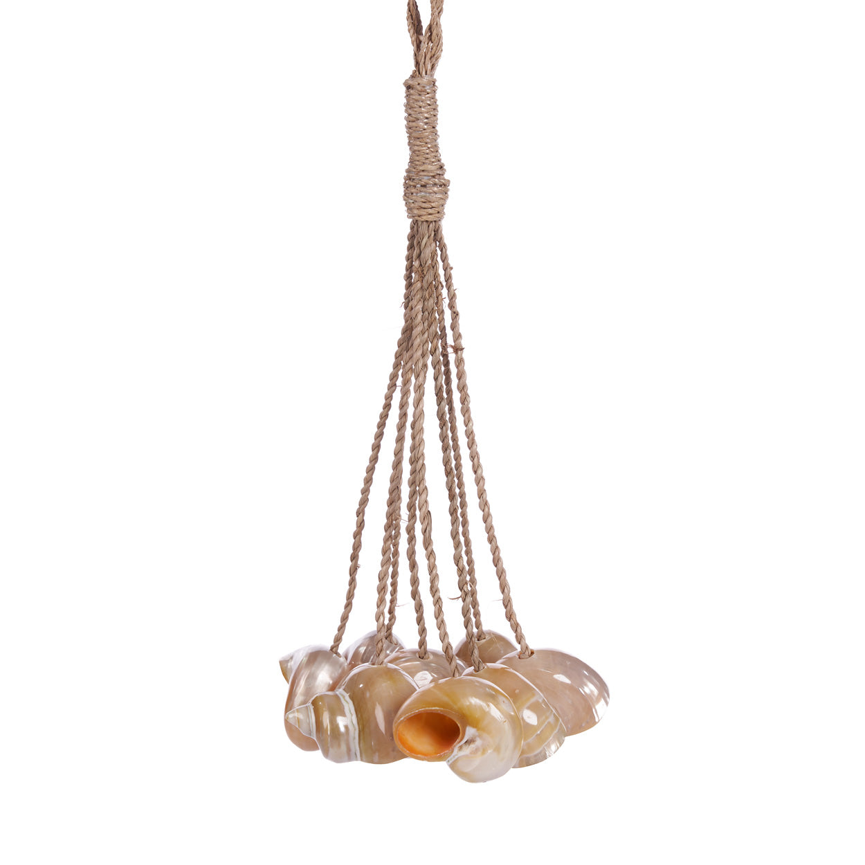 Pompon décoratif Conch en grandes coquilles nacrées 45 cm, vue 5