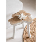 Pompon décoratif Kai en coquillages blancs 40 cm, vue 3