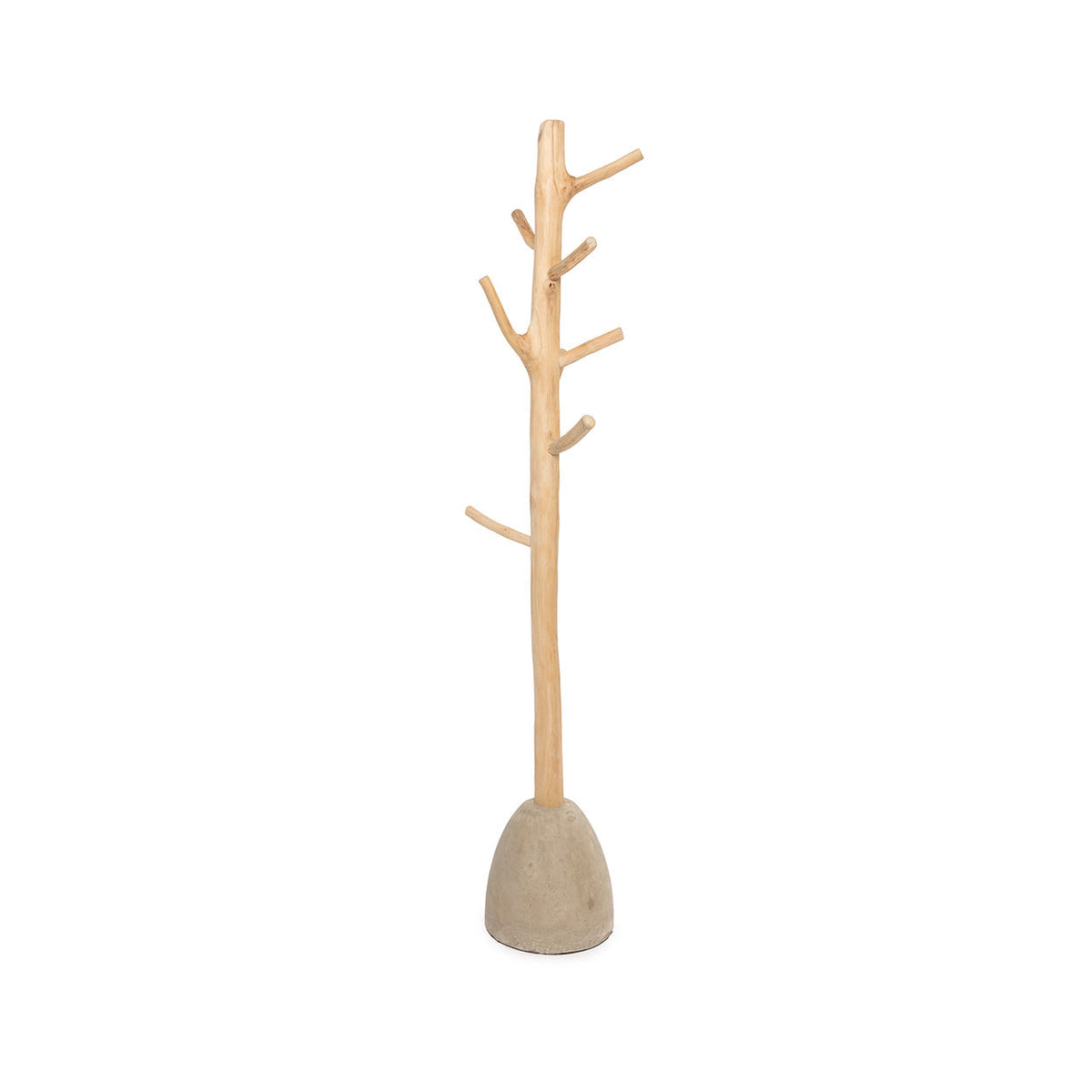 Portemanteau sur pied avec son tronc de teck à branches courtes et son pied de béton en dôme sur fond blanc
