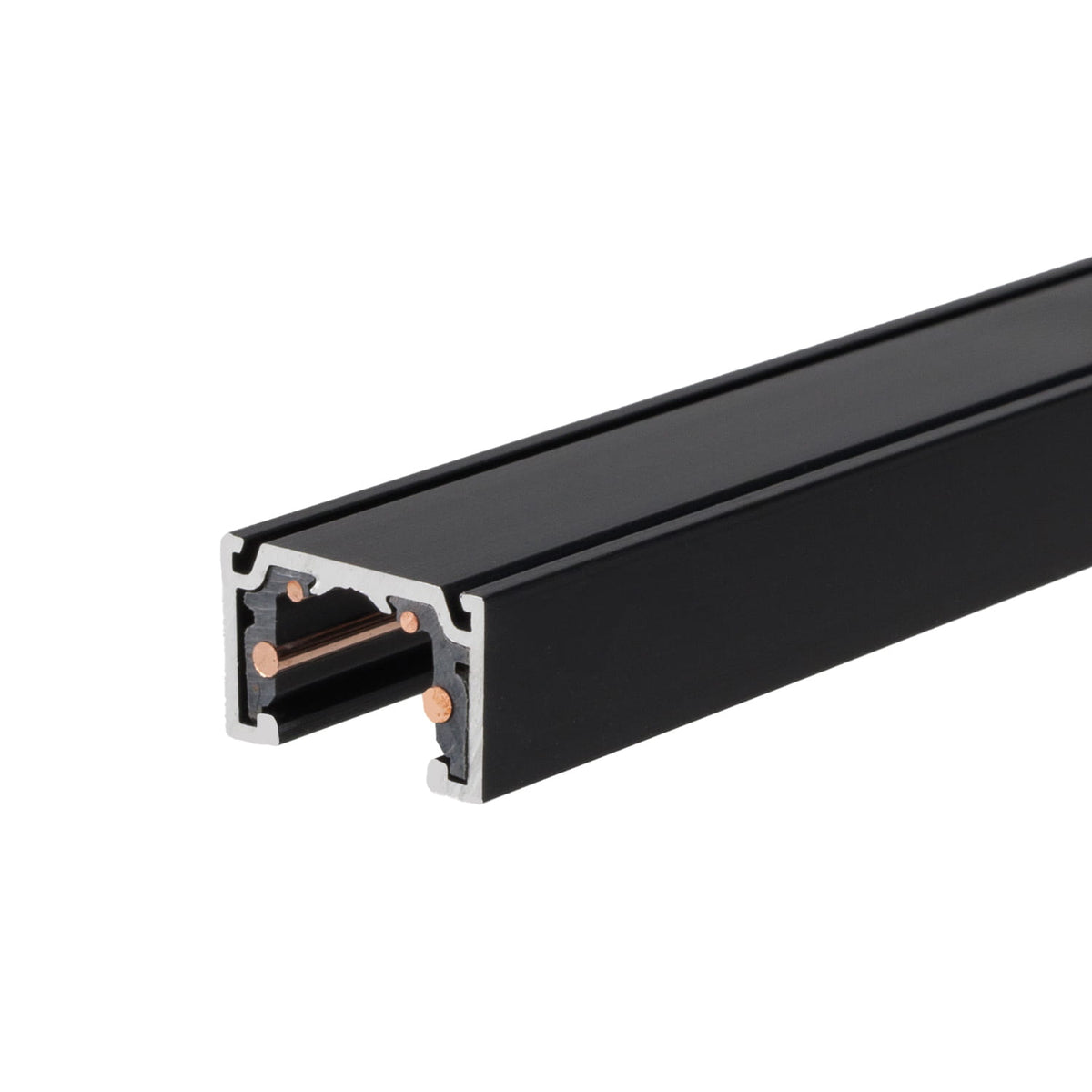Rail aimanté Micro11 noir vu en coupe avec ses conducteurs tenus dans un isolant noir