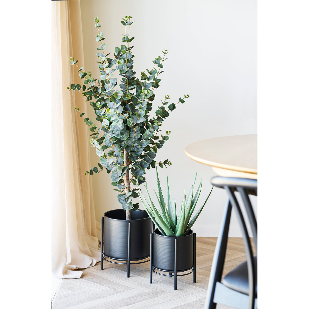 Les deux cache-pots sur pied au sol près d'une table avec un eucalyptus et un aloès