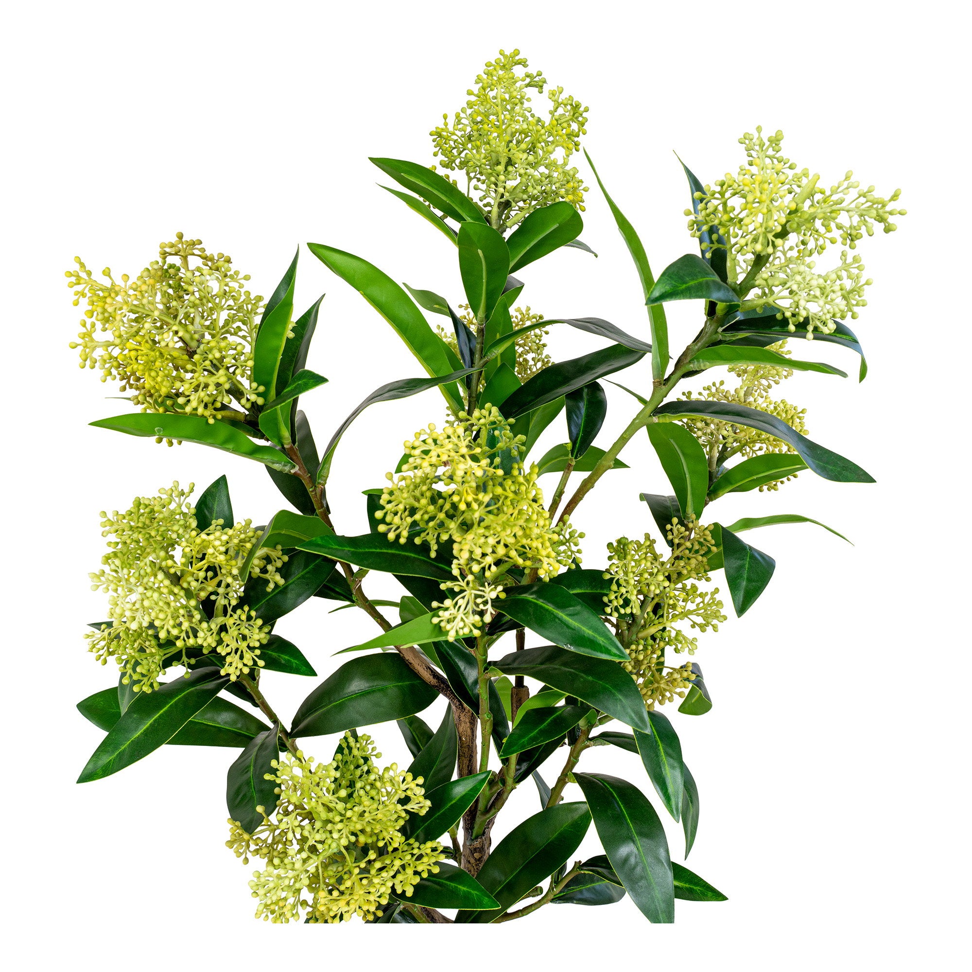 Détail bouquets fleurs vert anis blanc crème skimmia artificiel avec feuilles lustrées vert foncé