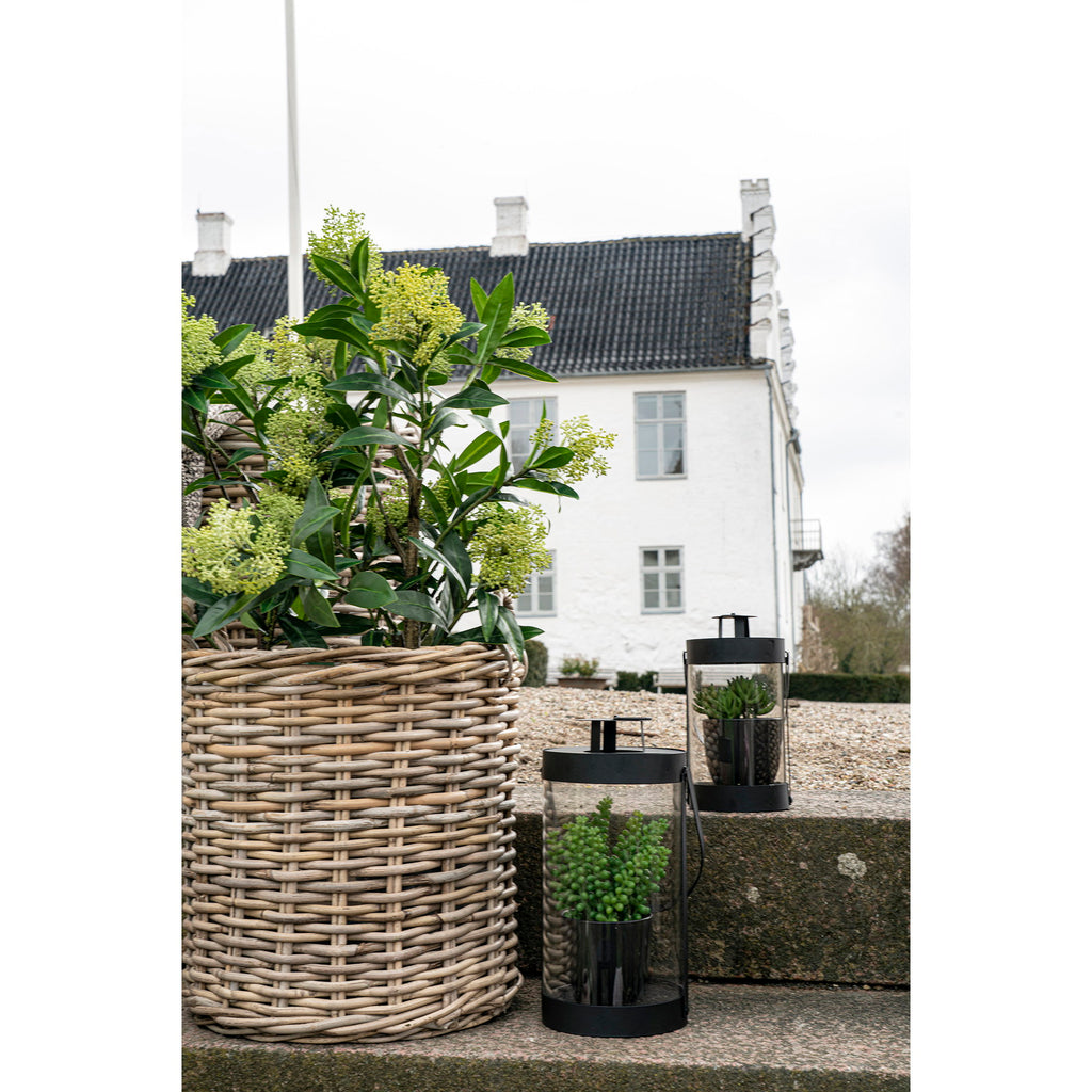 Skimmia artificiel vert dans grand panier rotin extérieur devant maison blanche avec lanternes noires