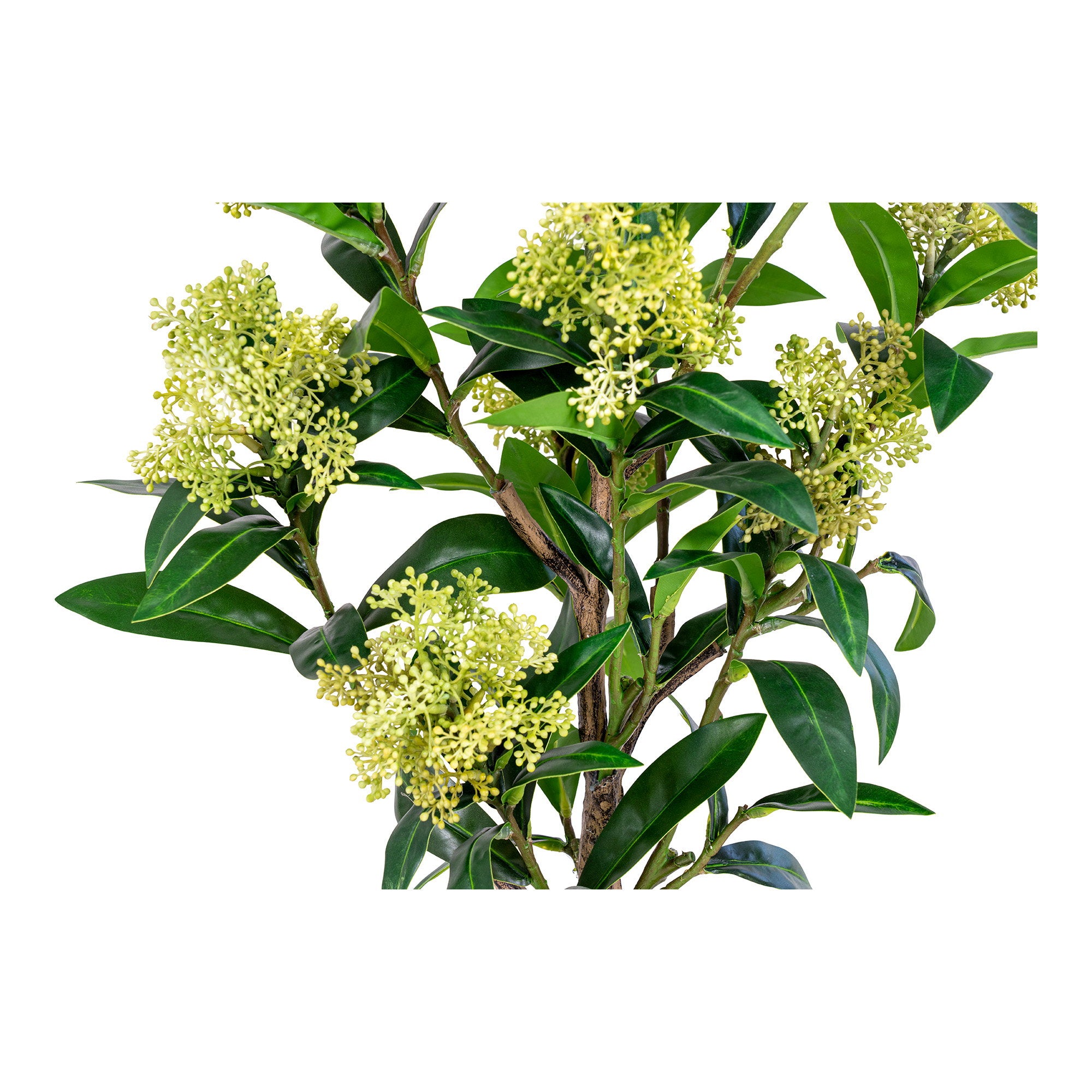 Zoom fleurs vert anis en grappes skimmia artificiel sur tiges brunes écorcées texturées réalistes