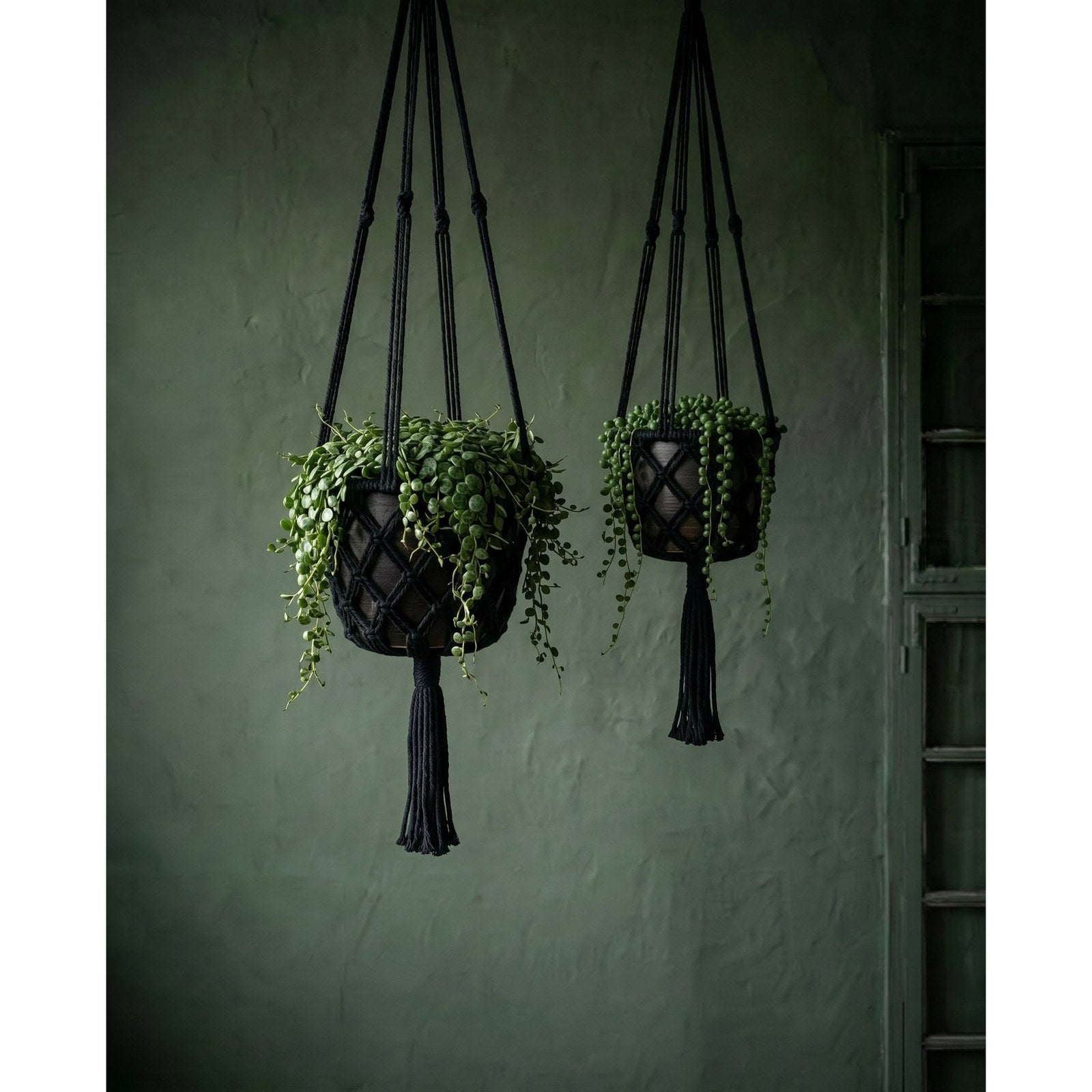 Support de plante suspendu en macramé noir 100 cm en situation