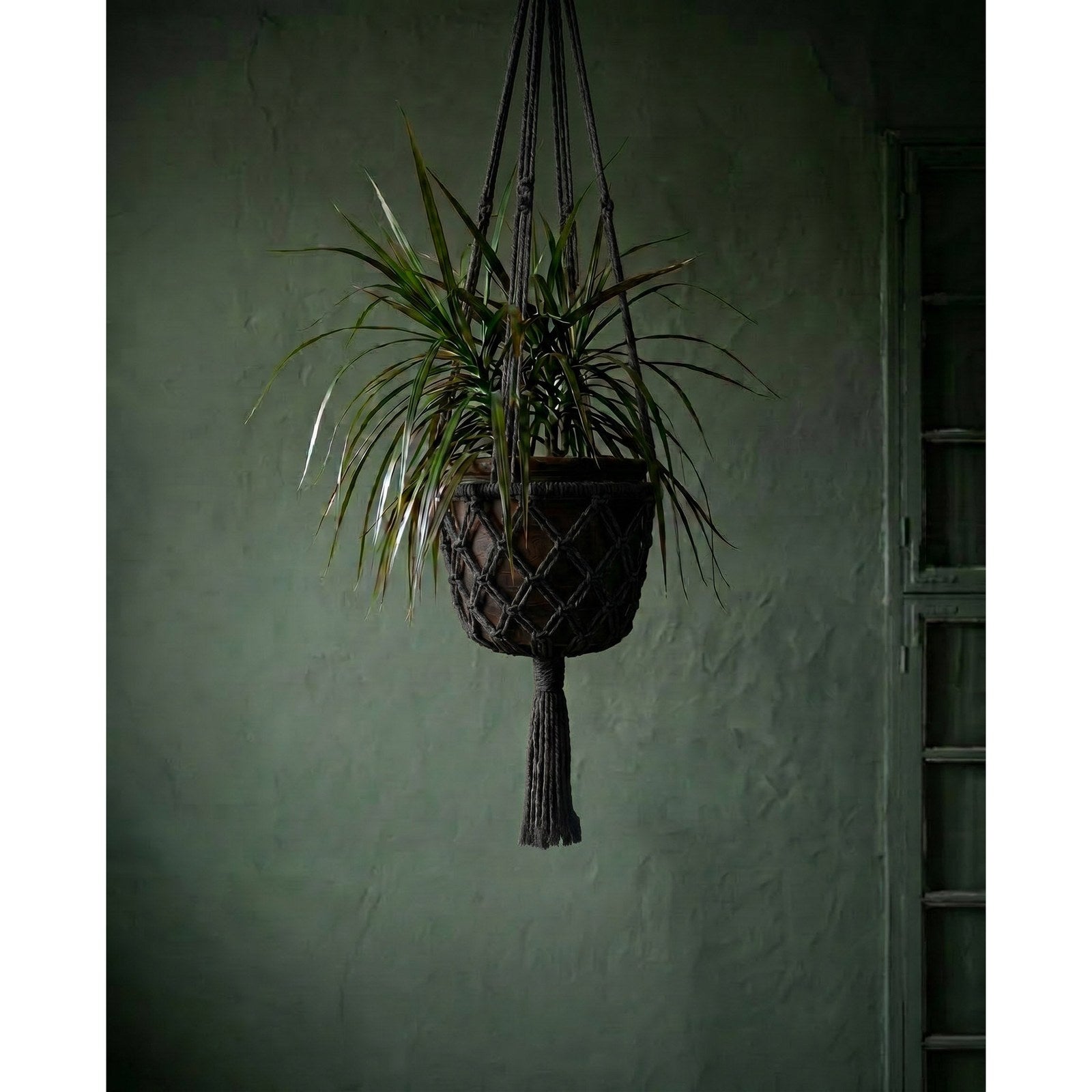 Support de plante suspendu en macramé noir 110 cm en situation