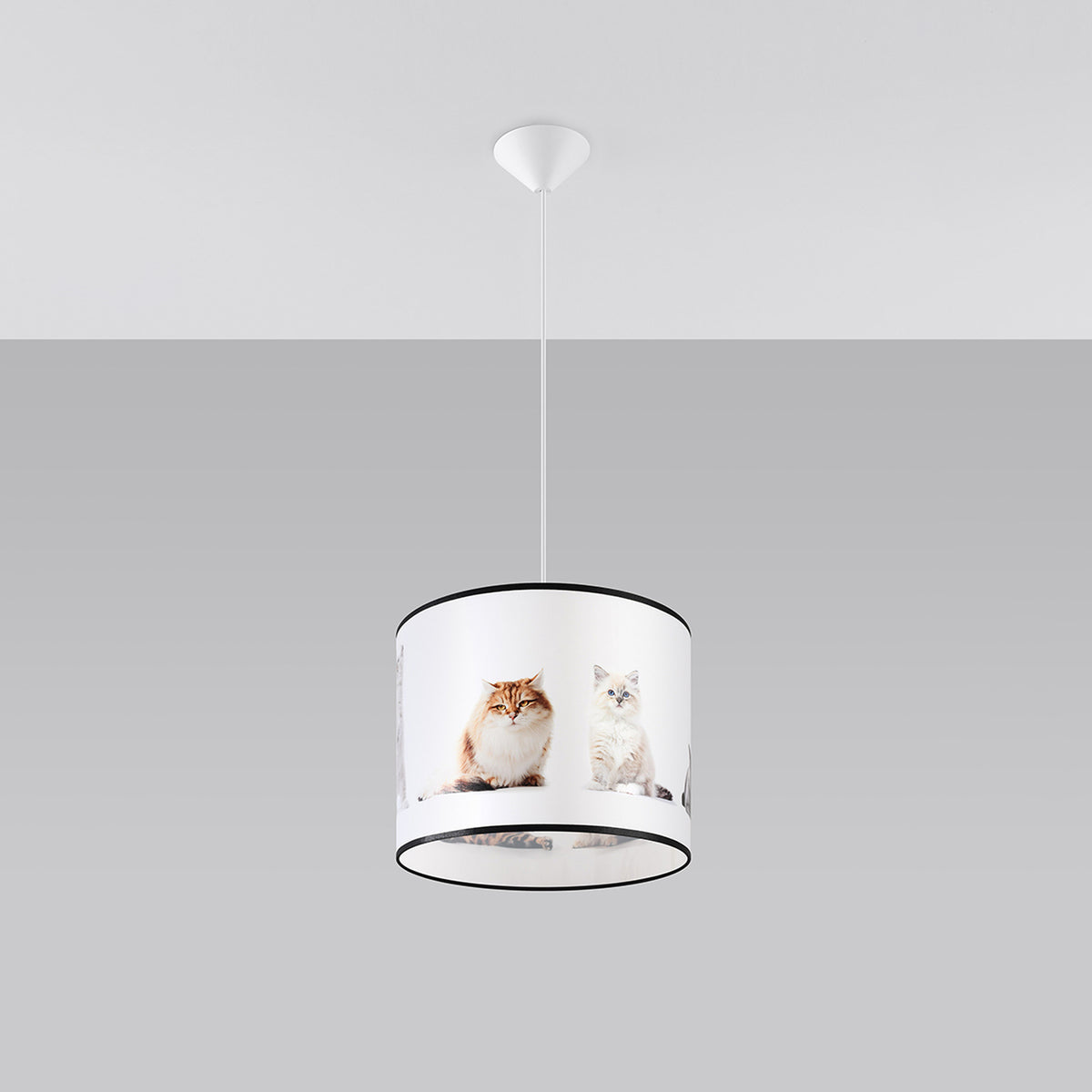 Suspension chatons pendue sous un plafond clair et vue de face