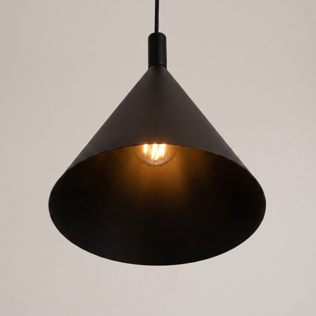 Suspension Nox cône 25 acier noir E27, vue 4