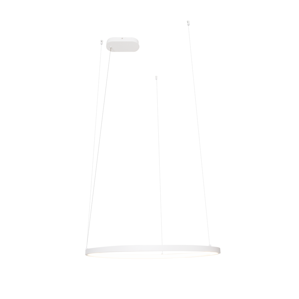 Suspension Visual anneau horizontal 60 cm blanc, vue 2