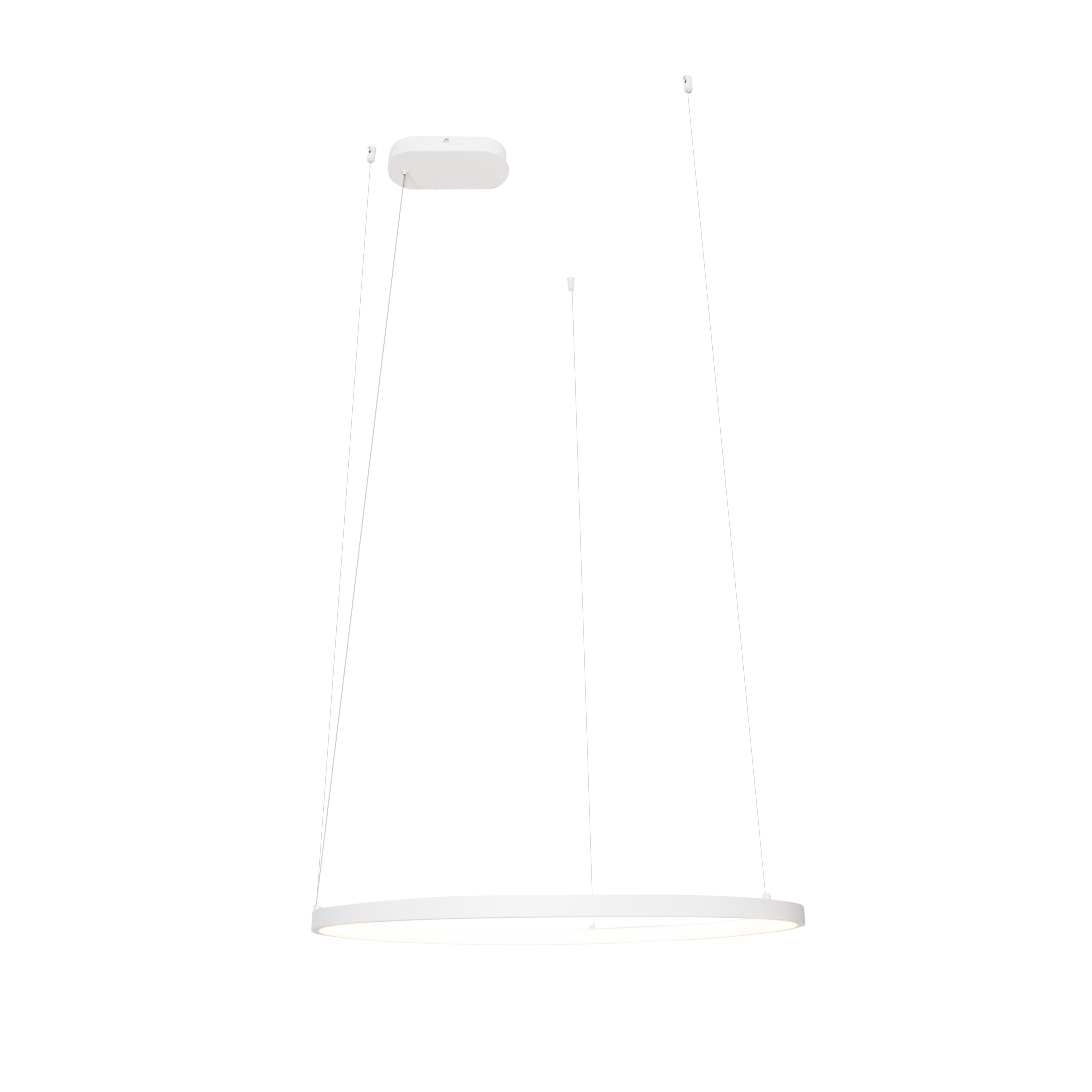 Suspension Visual anneau horizontal 60 cm blanc, vue 2
