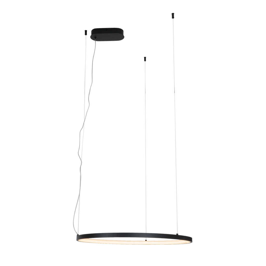 Suspension Visual anneau horizontal 60 cm noir, vue 2