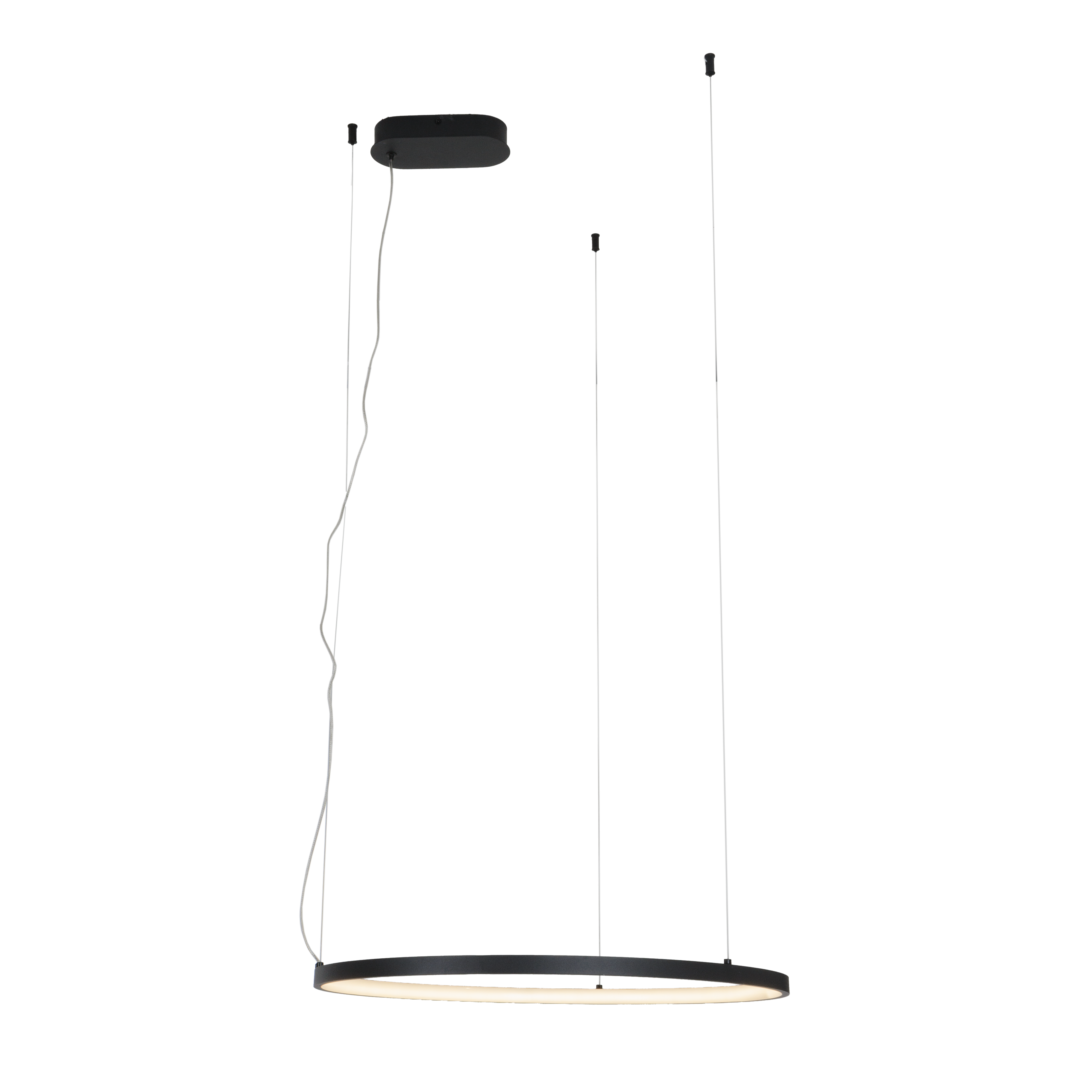 Suspension Visual anneau horizontal 60 cm noir, vue 2