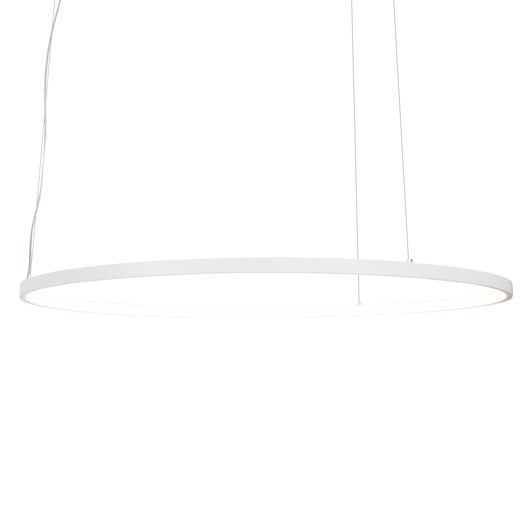 Suspension Visual anneau horizontal 80 cm blanc, vue 2