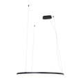 Suspension Visual anneau horizontal 80 cm noir