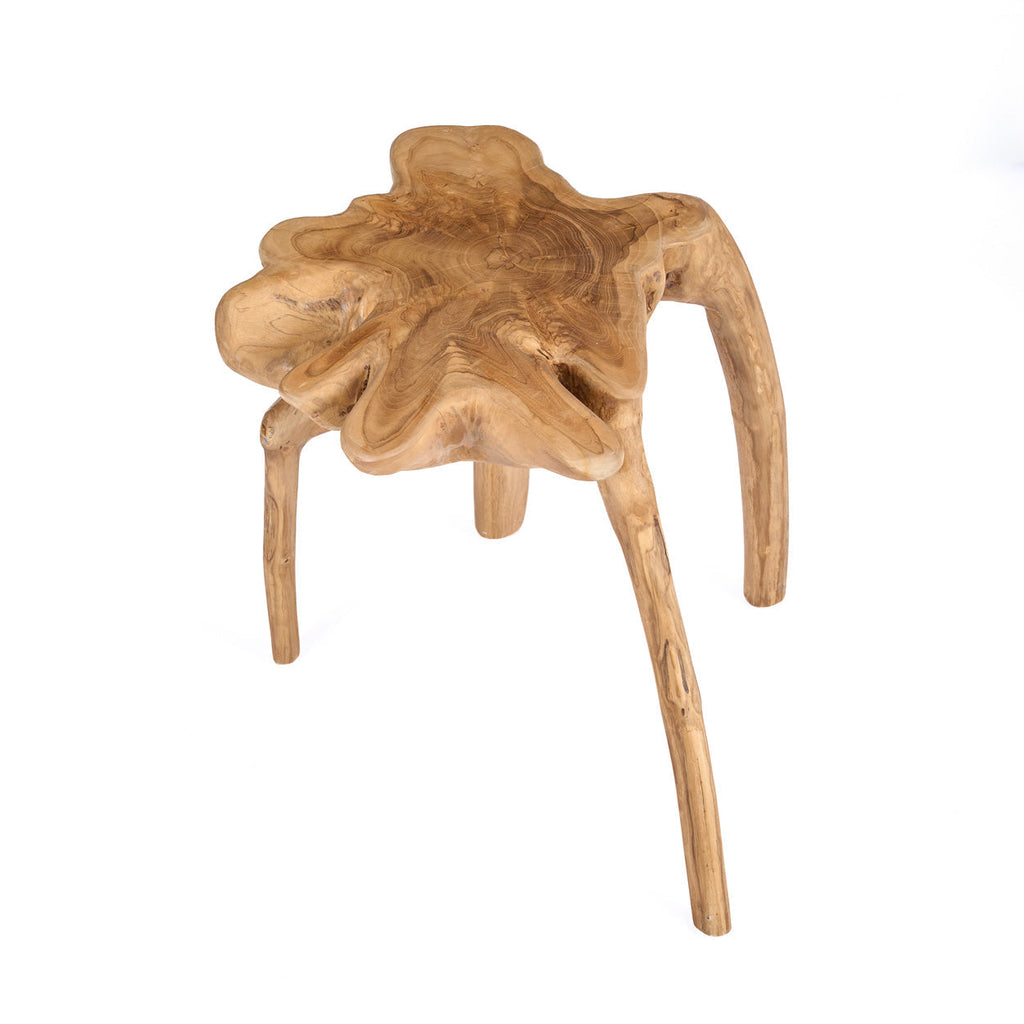 Table d'appoint Rooty en teck, vue 7