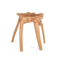Table d'appoint Rooty en teck