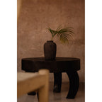 Table basse Octo Chic avec un vase et une palme vue derrière une chaise en bois clair