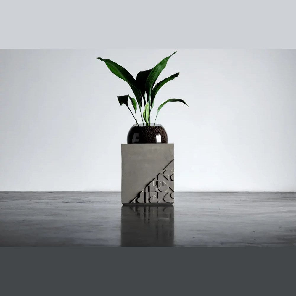 Table d'appoint Curb en béton vue de face avec une plante dans son globe en verre fumé