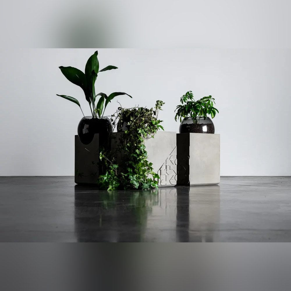 Trois tables d'appoint Curb en béton réunies avec des plantes dans leurs globes en verre