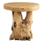 Table d'appoint Palena en racine de teck vue de face avec son pied noueux à cavités sur fond blanc