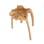 Table d'appoint Rooty en racine de teck vue en plongée avec ses pieds courbes