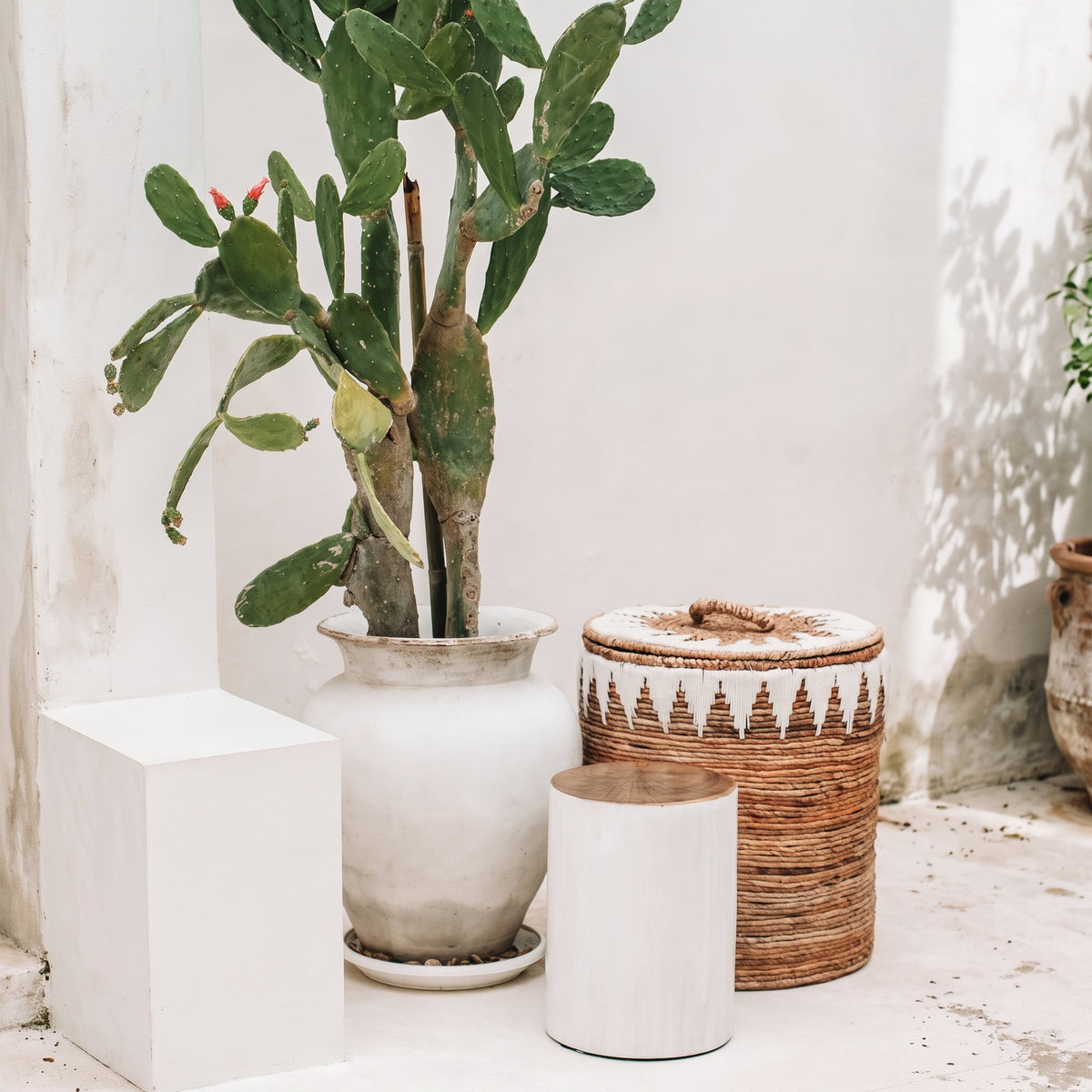 Tabouret tronc d'arbre Tribe en suar massif 40 cm