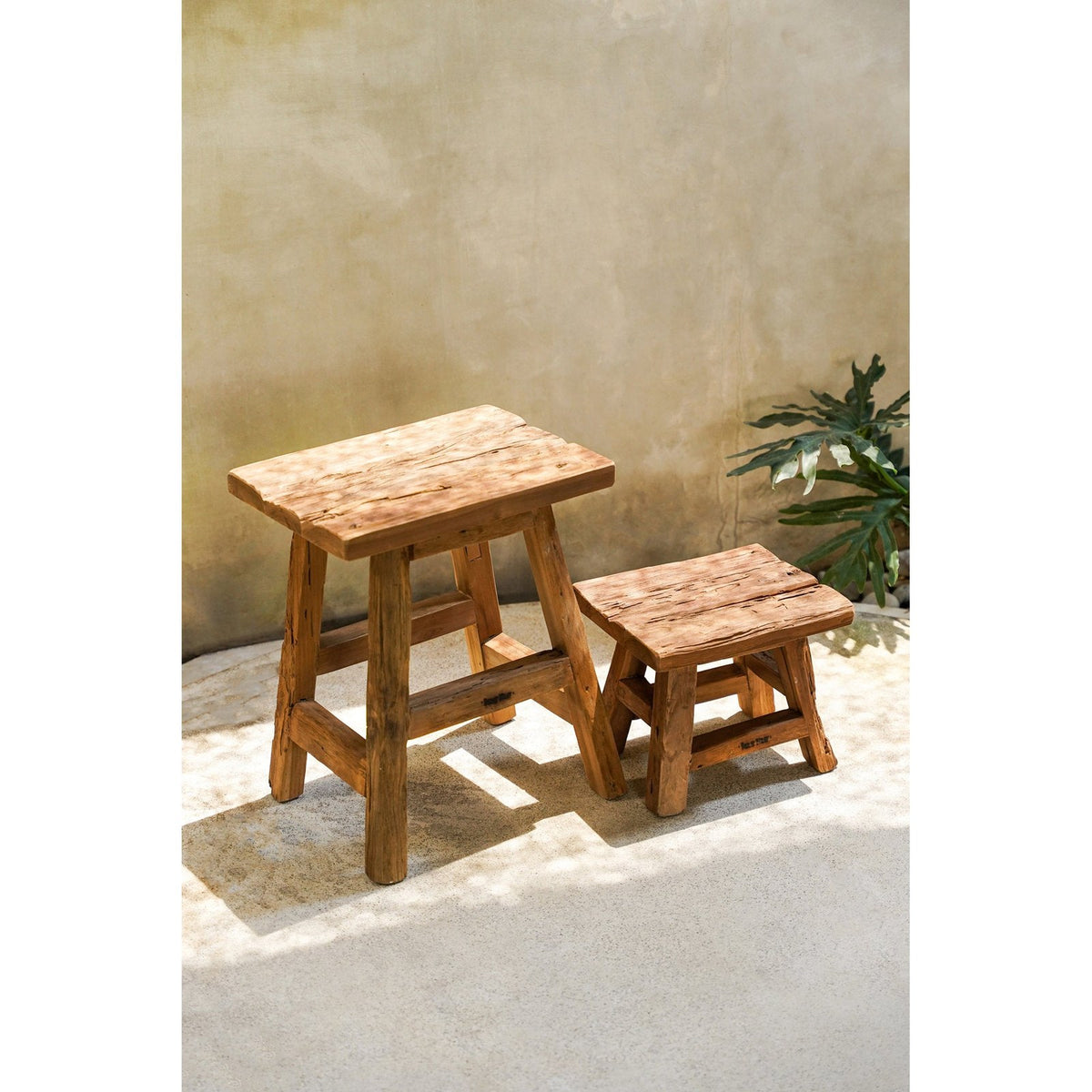 Tabourets Yoke petit et grand modèle en teck recyclé côte à côte au soleil près d'une plante