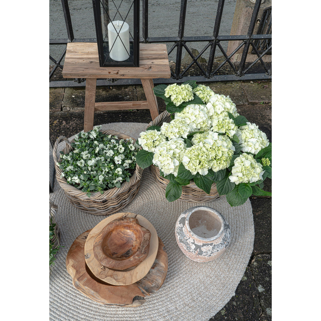 Tapis rond Menorca sable extérieur pavés hortensias déco naturelle