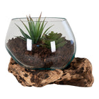 Terrarium San Marino vu de trois quarts où le verre plonge dans les creux du socle en teck