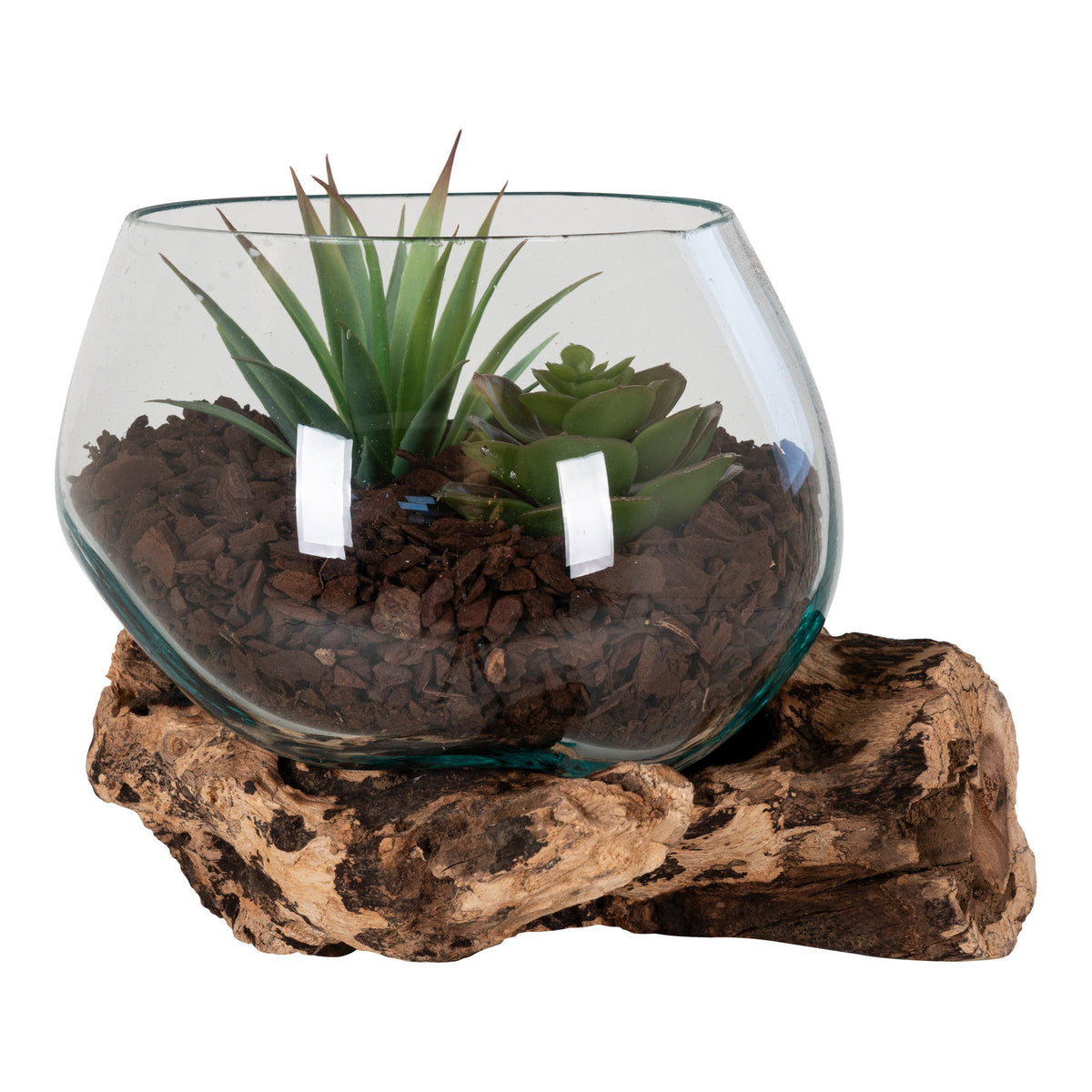 Terrarium San Marino vu de trois quarts où le verre plonge dans les creux du socle en teck