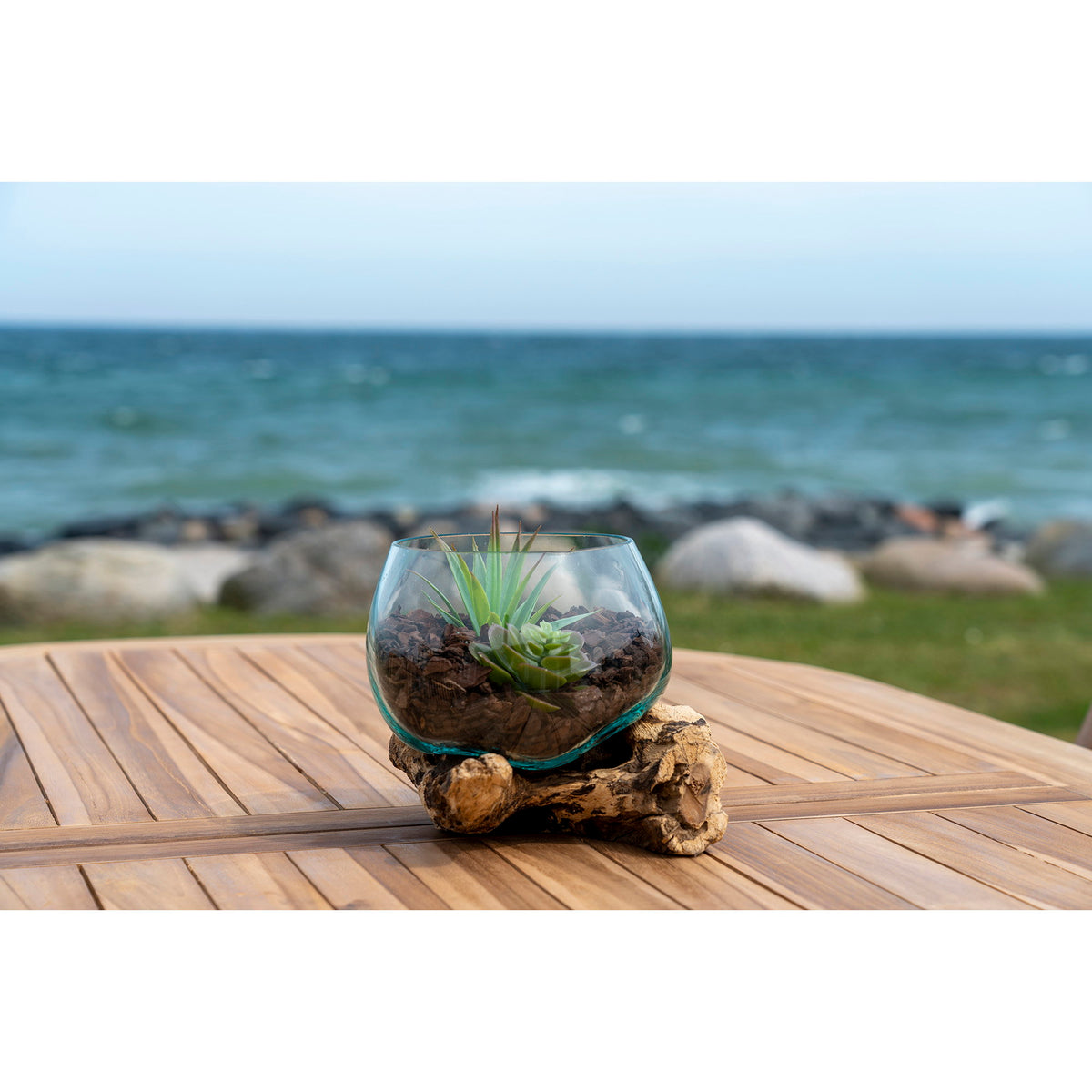 Terrarium San Marino garni de succulentes sur une table en teck face à la mer
