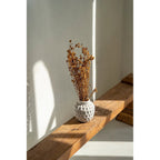 Vase Trendy en terre cuite écrue 14 cm en situation