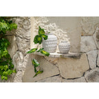 Vase Trendy en terre cuite écrue 14 cm, vue 8